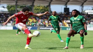 صدام في القاهرة.. موعد انطلاق مباراة الأهلي ويانج أفريكانز بدوري أبطال أفريقيا